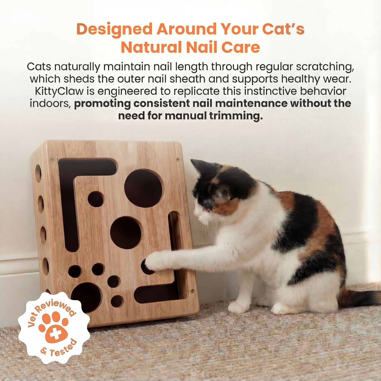 The KittyClaw Nail Care Kit