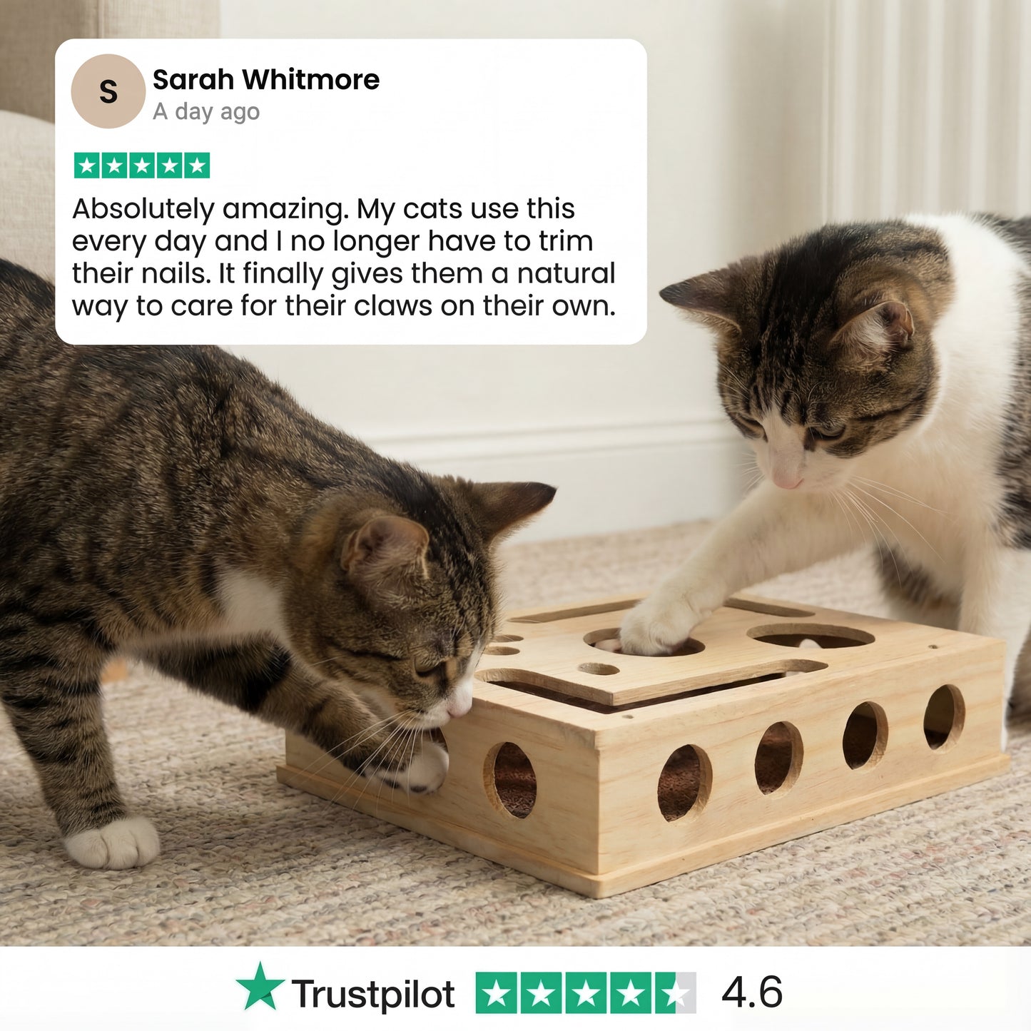 The KittyClaw Nail Care Kit