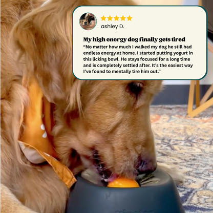 Woofle Calming Bowl